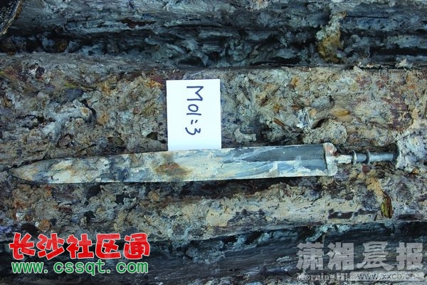 huangj13101320_nEO_IMG.jpg